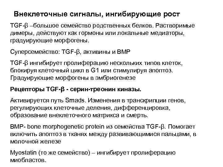 Внеклеточные сигналы, ингибирующие рост TGF-β –большое семейство родственных белков. Растворимые димеры, действуют как гормоны