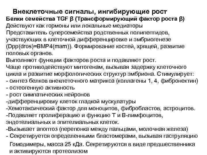 Внеклеточные сигналы, ингибирующие рост Белки семейства TGF β (Трансформирующий фактор роста β) Действуют как