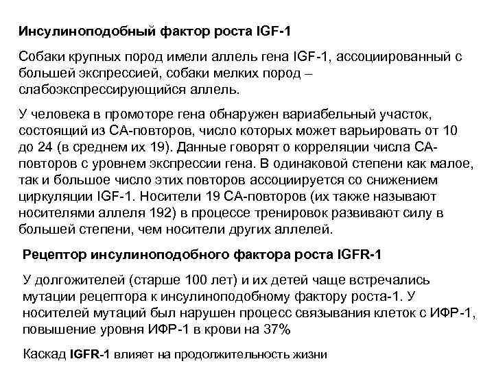 Инсулиноподобный фактор роста IGF-1 Собаки крупных пород имели аллель гена IGF-1, ассоциированный с большей