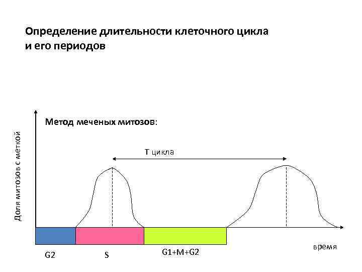 Определение длительности