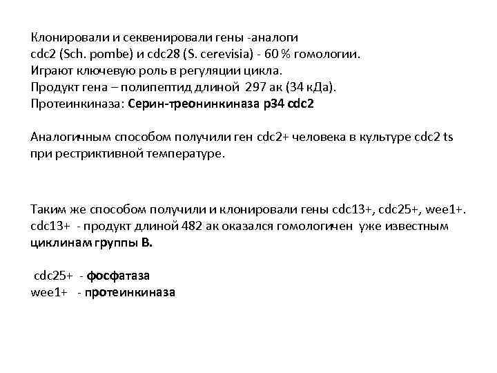Клонировали и секвенировали гены -аналоги сdc 2 (Sch. pombe) и cdc 28 (S. cerevisia)