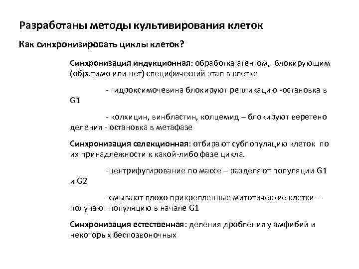 Разработаны методы культивирования клеток Как синхронизировать циклы клеток? Синхронизация индукционная: обработка агентом, блокирующим (обратимо