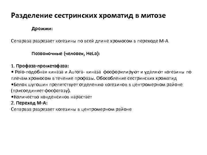 Разделение сестринских хроматид в митозе Дрожжи: Сепараза разрезает когезины по всей длине хромосом в