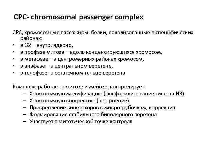 СРС- chromosomal passenger complex CPC, хромосомные пассажиры: белки, локализованные в специфических районах: • в