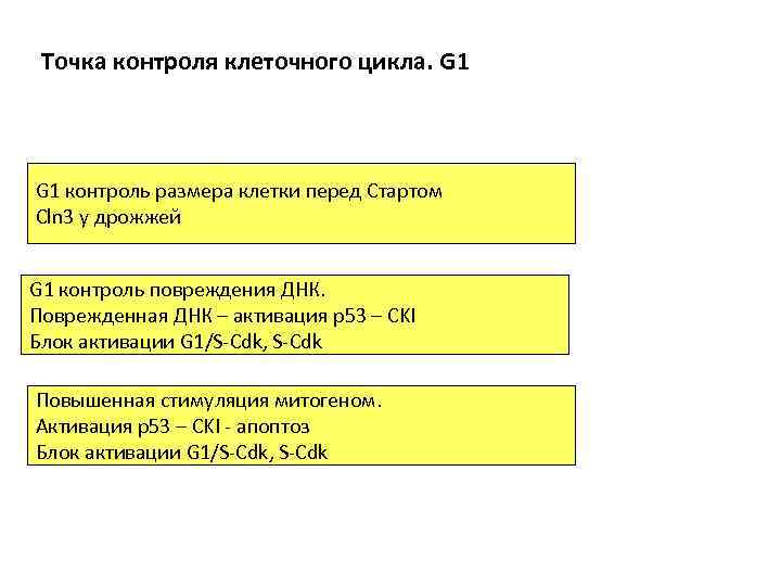 Точка контроля клеточного цикла. G 1 контроль размера клетки перед Стартом Сln 3 у
