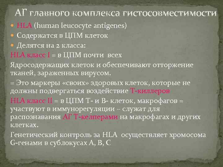 АГ главного комплекса гистосовместимости HLA (human leucocyte antigenes) Содержатся в ЦПМ клеток Делятся на