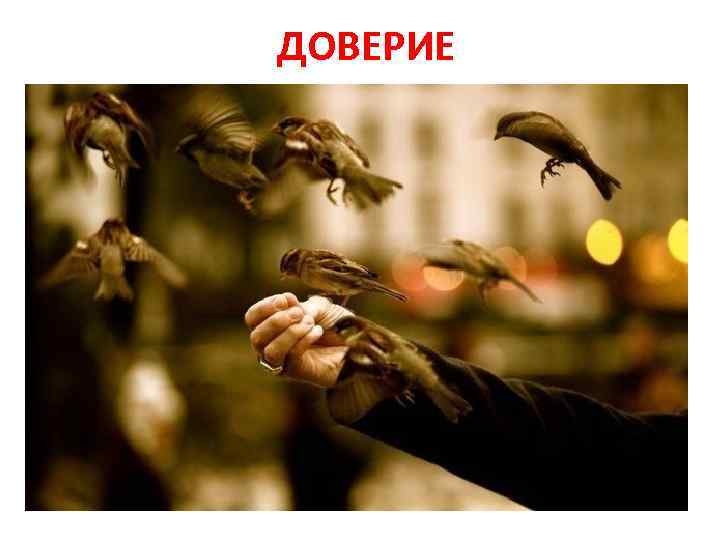 ДОВЕРИЕ 
