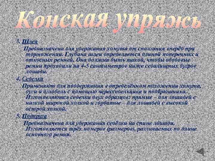 3. Шлея Предназначена для удержания хомута от сползания вперёд при торможении. Глубина шлеи определяется