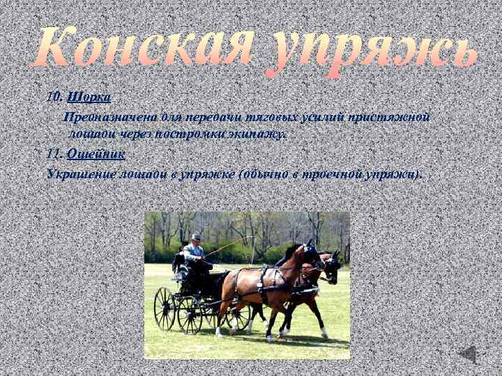 10. Шорка Предназначена для передачи тяговых усилий пристяжной лошади через постромки экипажу. 11. Ошейник