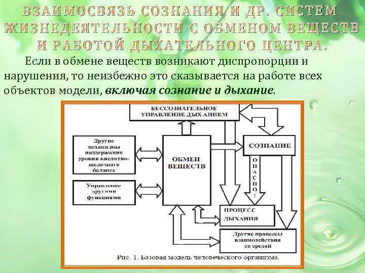 ВЗАИМОСВЯЗЬ СОЗНАНИЯ И ДР. СИСТЕМ ЖИЗНЕДЕЯТЕЛЬНОСТИ С ОБМЕНОМ ВЕЩЕСТВ И РАБОТОЙ ДЫХАТЕЛЬНОГО ЦЕНТРА. Если