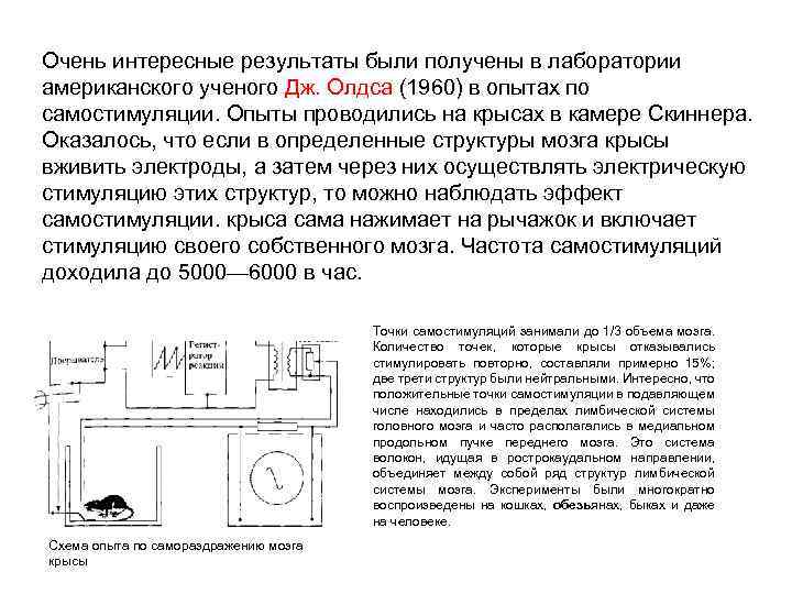 Очень интересные результаты были получены в лаборатории американского ученого Дж. Олдса (1960) в опытах