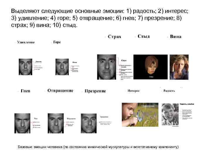 Выделяют следующие основные эмоции: 1) радость; 2) интерес; 3) удивление; 4) горе; 5) отвращение;