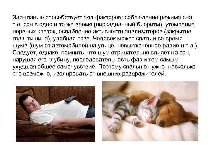 Засыпанию способствует ряд факторов: соблюдение режима сна, т. е. сон в одно и то