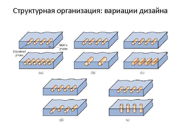 Структурная организация: вариации дизайна 