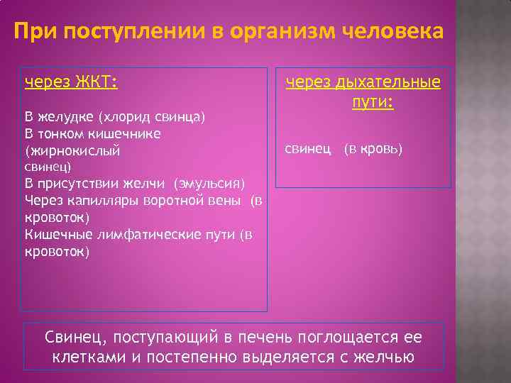 При поступлении в организм человека через ЖКТ: В желудке (хлорид свинца) В тонком кишечнике