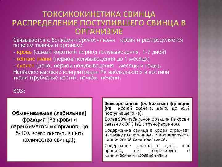 Связывается с белками-переносчиками крови и распределяется по всем тканям и органам: - кровь (самый