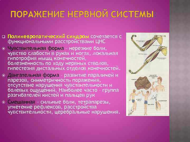 ПОРАЖЕНИЕ НЕРВНОЙ СИСТЕМЫ: q Полиневропатический синдром сочетается с функциональными расстройствами ЦНС Чувствительная форма –