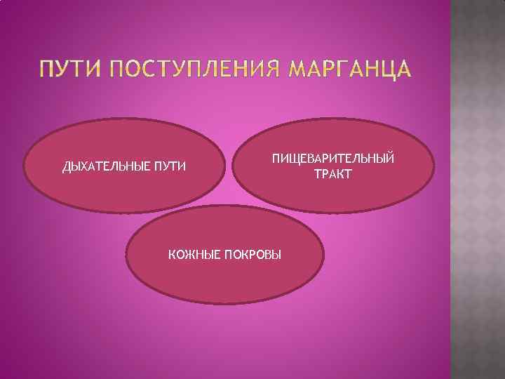 ДЫХАТЕЛЬНЫЕ ПУТИ ПИЩЕВАРИТЕЛЬНЫЙ ТРАКТ КОЖНЫЕ ПОКРОВЫ 