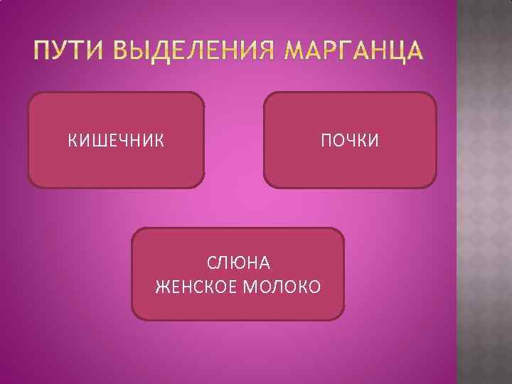 КИШЕЧНИК ПОЧКИ СЛЮНА ЖЕНСКОЕ МОЛОКО 