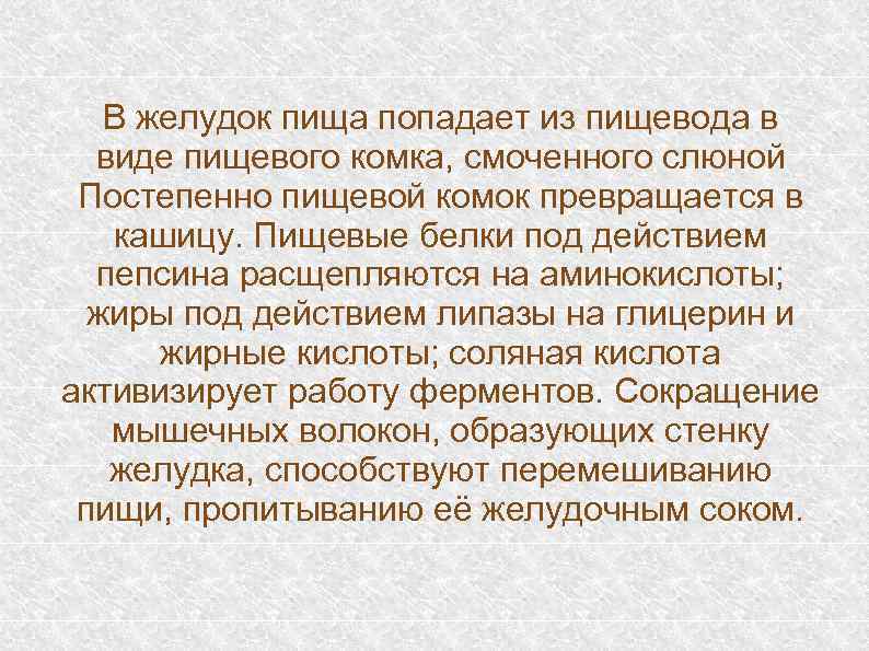 В желудок пища попадает из пищевода в виде пищевого комка, смоченного слюной Постепенно пищевой