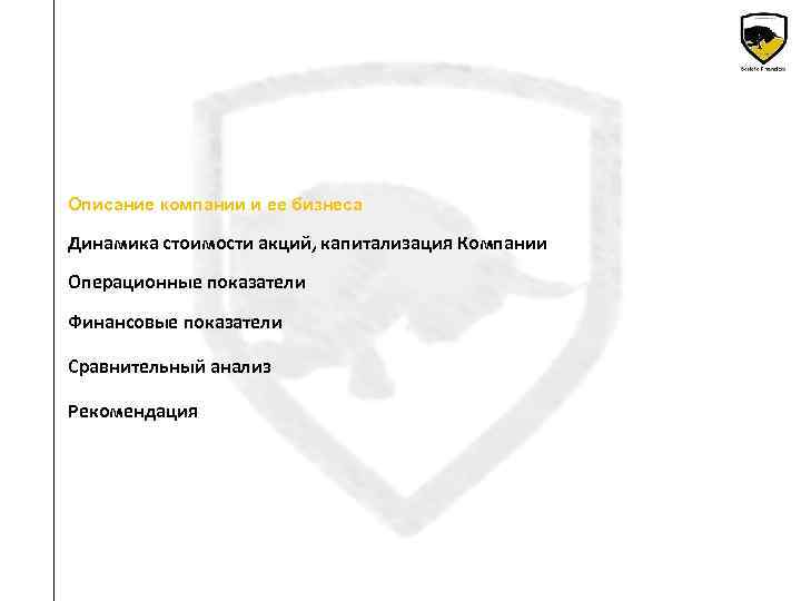 Описание компании и ее бизнеса Динамика стоимости акций, капитализация Компании Операционные показатели Финансовые показатели