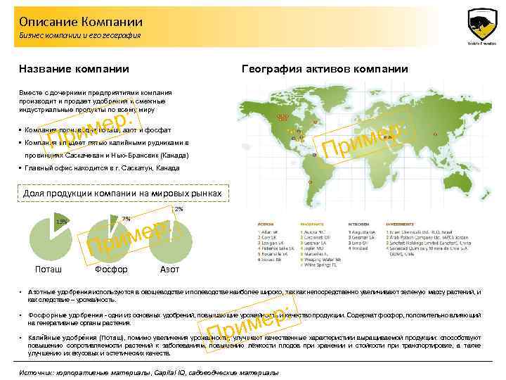 Описание Компании Бизнес компании и его география Название компании География активов компании Вместе с