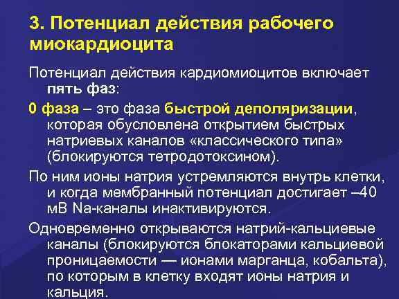 3. Потенциал действия рабочего миокардиоцита Потенциал действия кардиомиоцитов включает пять фаз: 0 фаза –