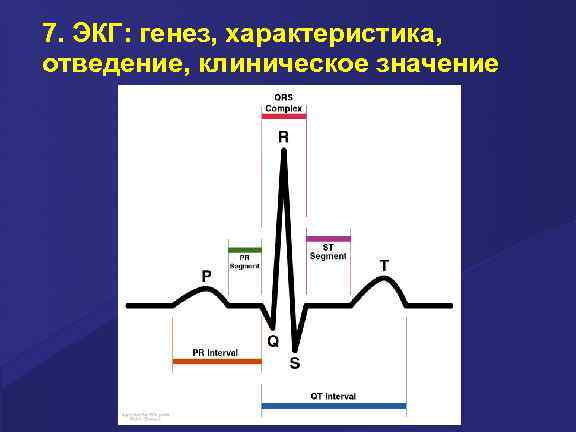 7. ЭКГ: генез, характеристика, отведение, клиническое значение 