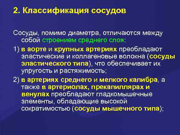 2. Классификация сосудов Сосуды, помимо диаметра, отличаются между собой строением среднего слоя: 1) в