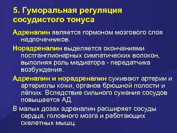 5. Гуморальная регуляция сосудистого тонуса Адреналин является гормоном мозгового слоя надпочечников. Норадреналин выделяется окончаниями