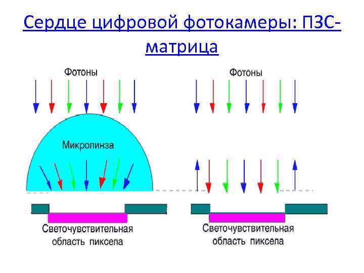 Сердце цифровой фотокамеры: ПЗСматрица 