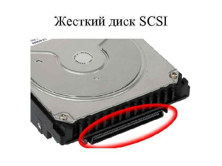 Жесткий диск SCSI 