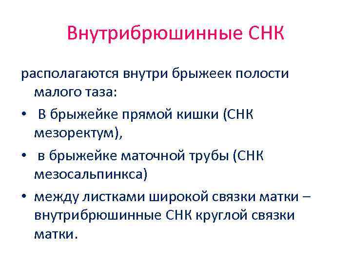 Внутрибрюшинные СНК располагаются внутри брыжеек полости малого таза: • В брыжейке прямой кишки (СНК