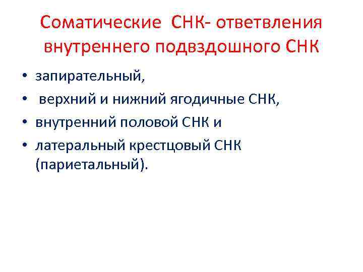 Соматические СНК- ответвления внутреннего подвздошного СНК • • запирательный, верхний и нижний ягодичные СНК,