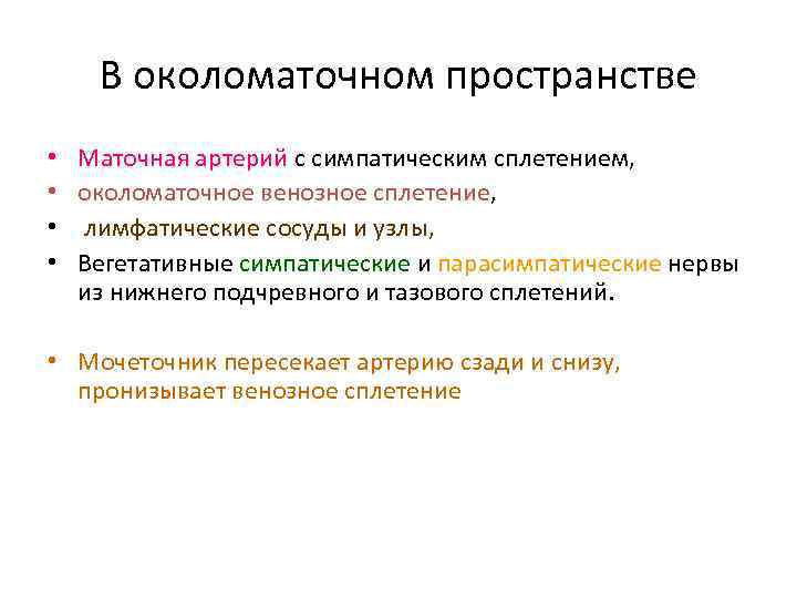 В околоматочном пространстве • • Маточная артерий с симпатическим сплетением, околоматочное венозное сплетение, лимфатические