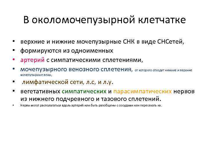 В околомочепузырной клетчатке • • верхние и нижние мочепузырные СНК в виде СНСетей, формируются