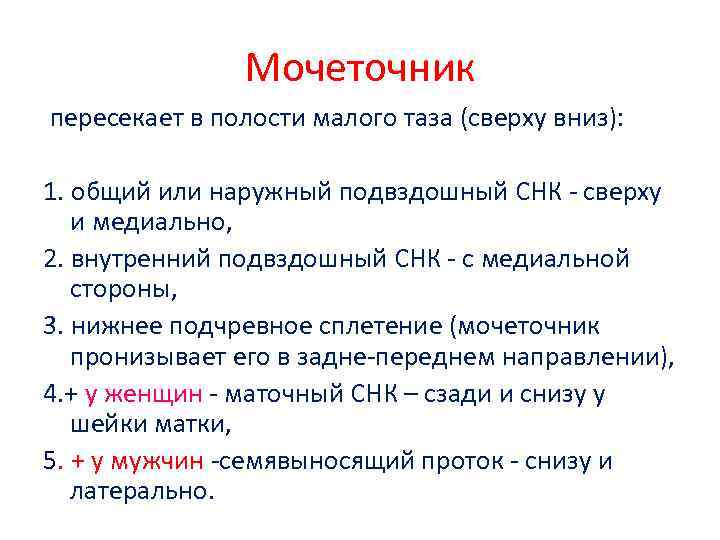 Мочеточник пересекает в полости малого таза (сверху вниз): 1. общий или наружный подвздошный СНК