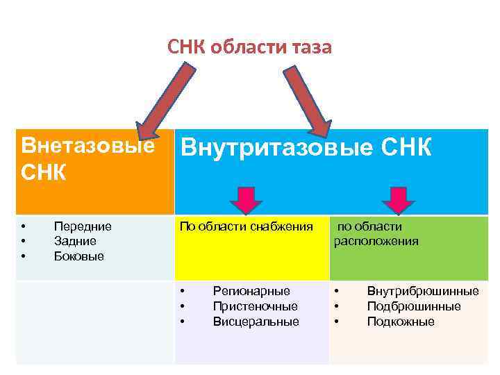 СНК области таза Внетазовые СНК Внутритазовые СНК • • • По области снабжения по