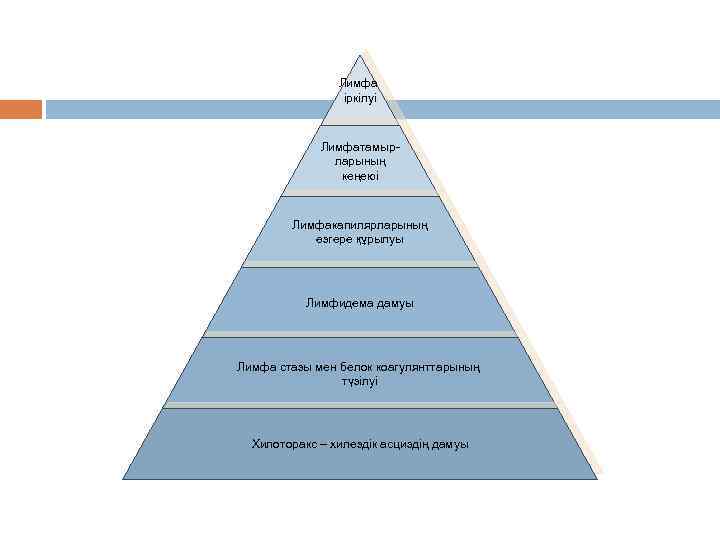 Лимфа іркілуі Лимфатамырларының кеңеюі Лимфакапилярларының өзгере құрылуы Лимфидема дамуы Лимфа стазы мен белок коагулянттарының