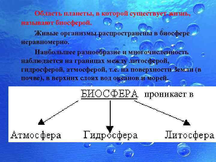 Отличались разнообразием. Живые организмы в гидросфере. Условия существования жизни в биосфере.. Как организмы распространены в гидросфере. Условия необходимые для жизни в биосфере.