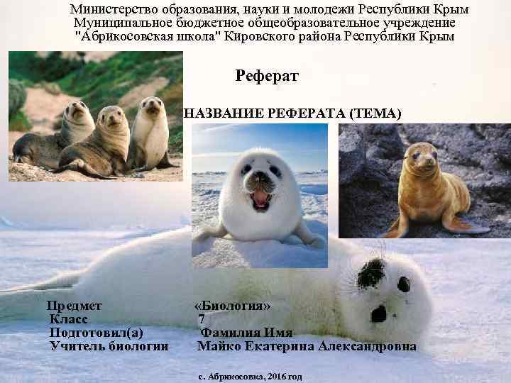  Министерство образования, науки и молодежи Республики Крым Муниципальное бюджетное общеобразовательное учреждение "Абрикосовская школа"