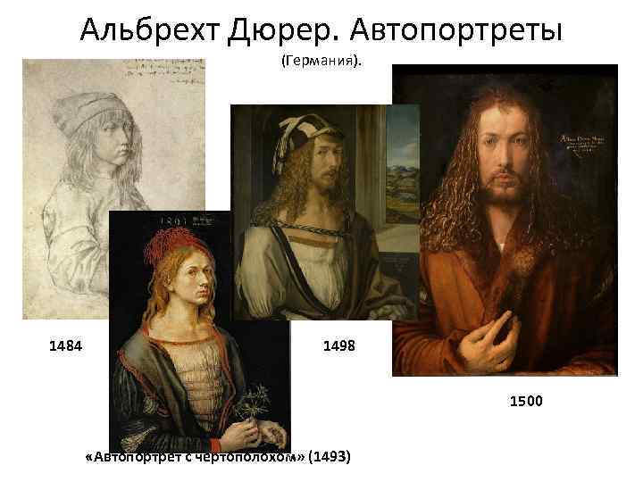 Альбрехт Дюрер. Автопортреты (Германия). 1484 1498 1500 «Автопортрет с чертополохом» (1493) 