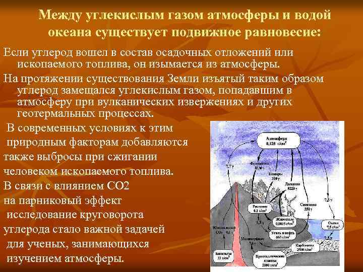 Между углекислым газом атмосферы и водой океана существует подвижное равновесие: Если углерод вошел в