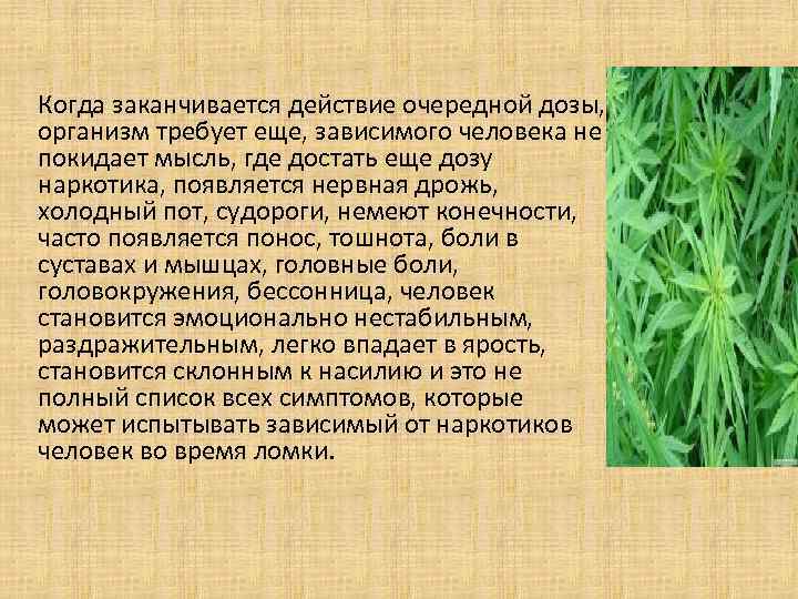 Когда заканчивается действие очередной дозы, организм требует еще, зависимого человека не покидает мысль, где