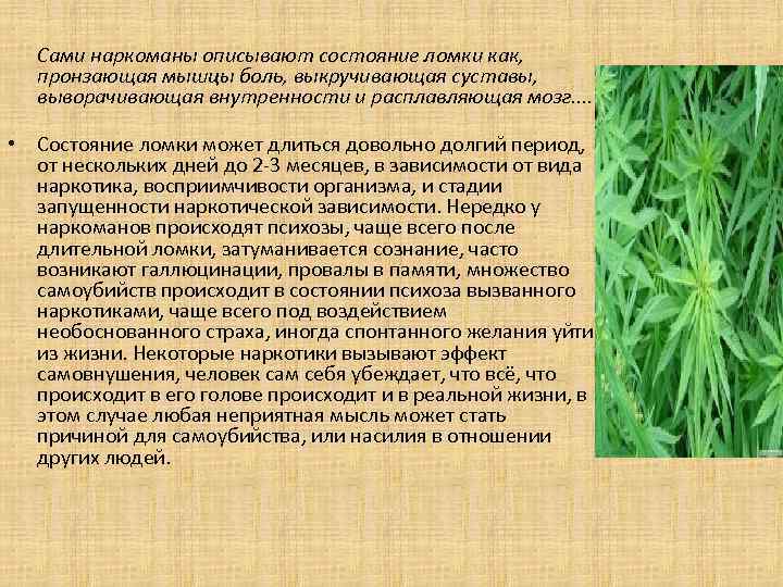 Сами наркоманы описывают состояние ломки как, пронзающая мышцы боль, выкручивающая суставы, выворачивающая внутренности и