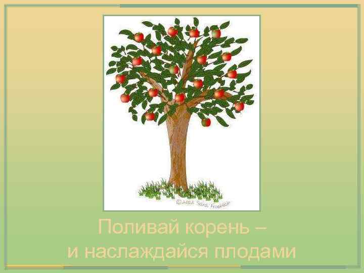 Поливай корень – и наслаждайся плодами 