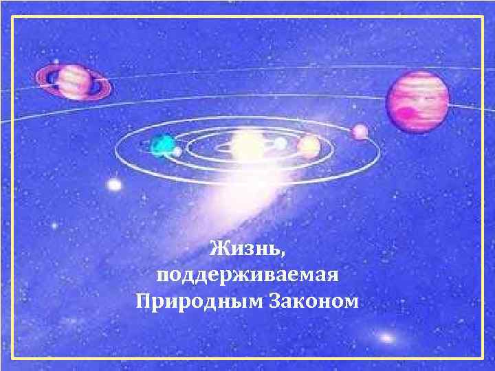 Жизнь, поддерживаемая Природным Законом 