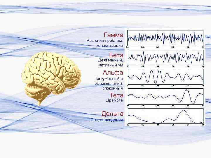 Гамма Решение проблем, концентрация Бета Деятельный, активный ум Альфа Погруженный в размышления, спокойный Тета