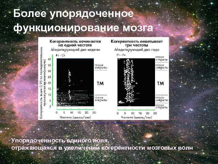 Более упорядоченное функционирование мозга Reference: Psychosomatic Medicine 46: 267, 276, 1984 Упорядоченность единого поля,