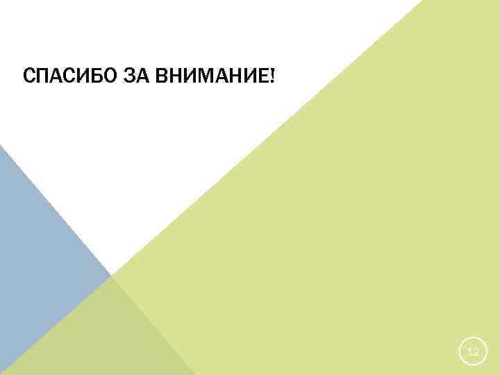 СПАСИБО ЗА ВНИМАНИЕ! 12 